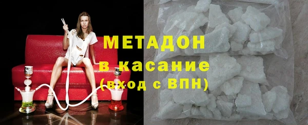 индика Нягань