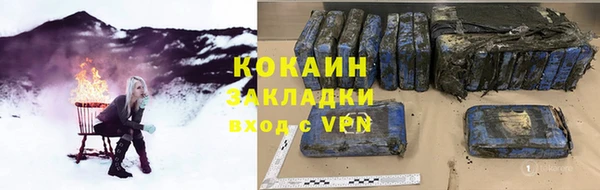 индика Нягань