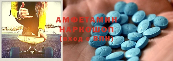 индика Нягань
