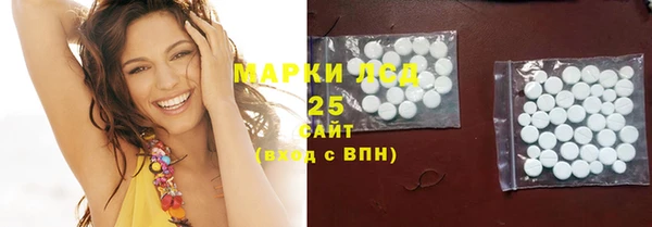 индика Нягань