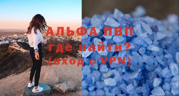 индика Нягань
