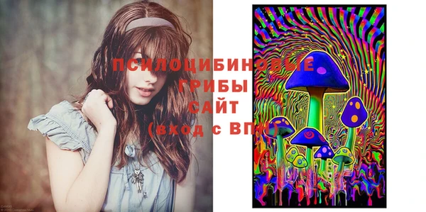 соль ск Нязепетровск