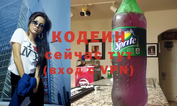 индика Нягань