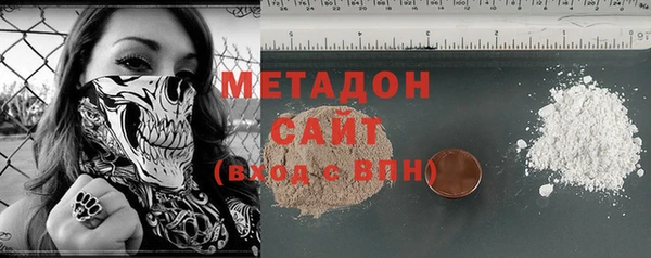 индика Нягань