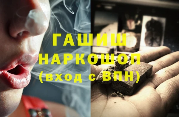 индика Нягань