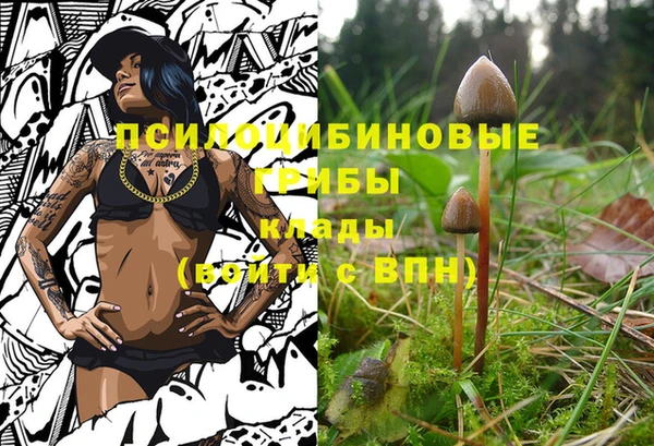 jwh Няндома