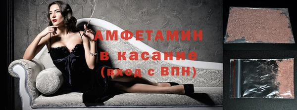 индика Нягань