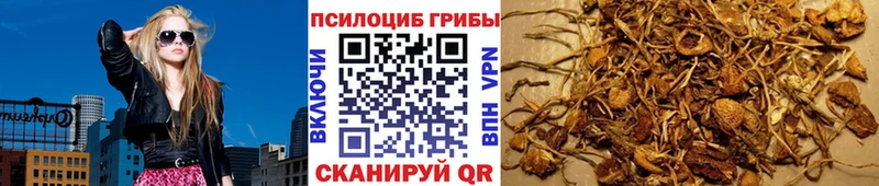 купить цена Кирсанов Галлюциногенные грибы прущие грибы